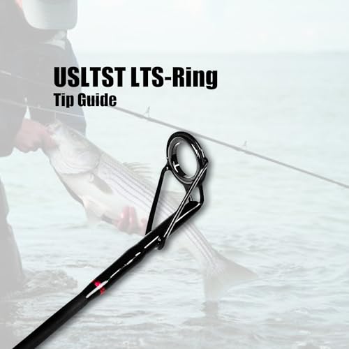 Fiblink Surf Casting Fishing Rod 2-Piece Graphite Travel Baitcasting Fishing Rod - size: Length: 10'