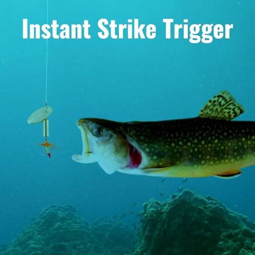 Trout Spinnerbait Lures Inline Rooster Tail Fishing Kit Brass Spinner Baits with Smooth Rotation Flash Blade for Bass Pike Crappie Saltwater Freshwater Lake River 360 Balance Hook - color: 1/8 oz