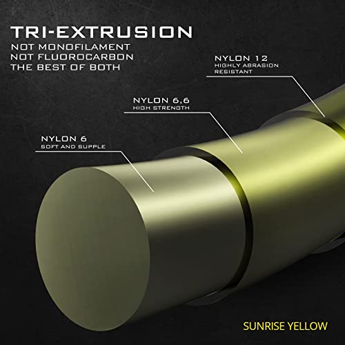 KastKing TriPolymer Advanced Monofilament Fishing Line, Low Light Refraction, Super Smooth, Highly Abrasion Resistant, Triple Cross Head Extrusion Process Fishing Line - color: SUNRISE YELLOW, size: 8LB-300Yds