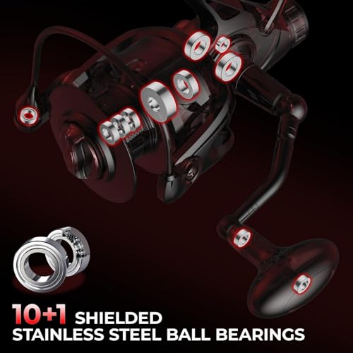KastKing Sharky Baitfeeder III Spinning Reel 10+1 Shielded Stainless Steel BB - Carbon Fiber Drag for Live Liner Bait Fishing Action - style: 4000