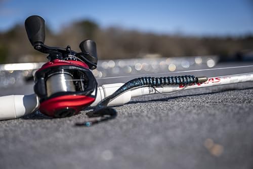 Berkley PowerBait Power Worms Fishing Soft Bait - color: Black/Blue, size: 7" (13 Count)