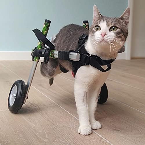 Walkin' Wheels Lightweight – for Small Cats 2 to 20 Pounds – Veterinarian Approved – Cat Wheelchair for Back Legs, for Cats 11-20 lbs, 3-6 inches Leg Height – Seafoam