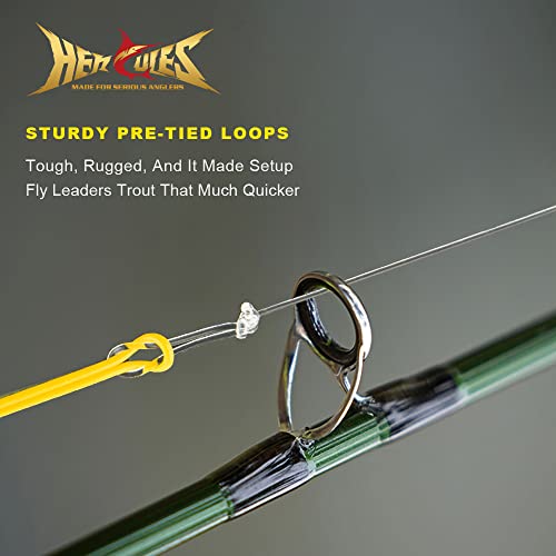 HERCULES Pre-Tied Loop Fly Fishing Leader 6 Pack with Tapered Leader Wallet - size: 12FT - 6pcs