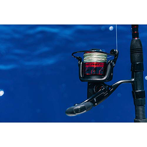 Penn Fierce III Spinning Inshore Fishing Reel, Size 2000, Right/Left Handle Position, 5 Bearings for Smooth Operation - size: 3000 - Box, style: Fierce III