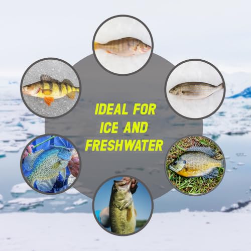 Reaction Tackle Tungsten Ice Fishing Jigs, Tear Drop Jig Heads that Glow with UV Light for Panfish, Crappie, Walleye, Perch, Trout and Bluegill - color: Wonder Glow Spots 6-pcs, size: 5 mm
