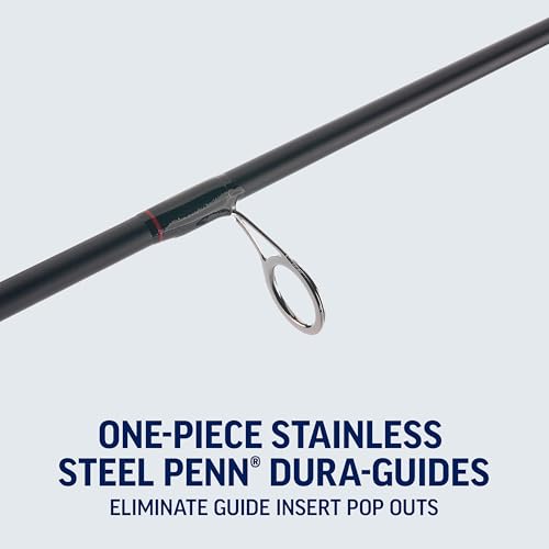 Penn Fierce IV Spinning Reel and Fishing Rod Combo - size: 8000 Size Reel - 10' - Heavy - 2pc, style: Fierce IV