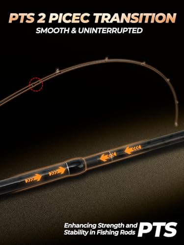 Jenseits Carbon Fiber Fishing Rod Series (6-12 Ft), Spinning & Casting Rods with Stainless Steel Ceramic Guides, Fast Action Fishing Pole for Bass, Trout, Walleye & Surf Fishing - size: 10'0"-Heavy-Fast-Black