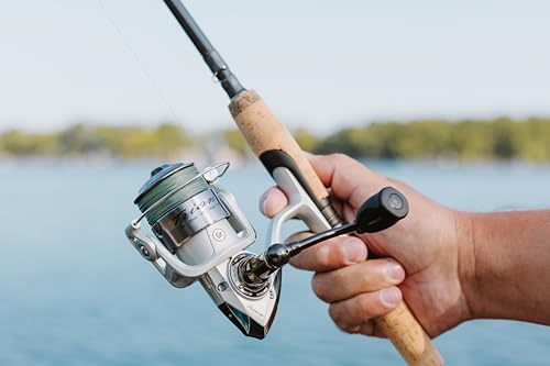Pflueger Trion Spinning Reel - size: 20 - Clam, style: 2022 Model