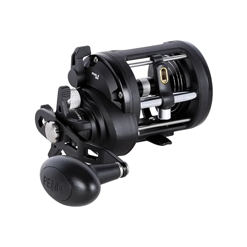 PENN Rival Level Wind Conventional Fishing Reel - size: 20, style: New Model