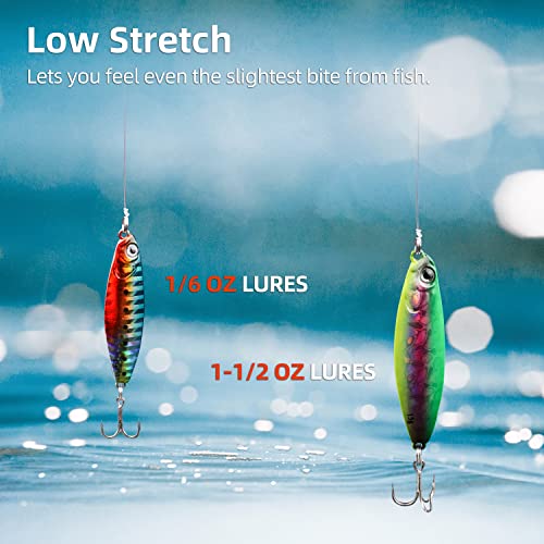 RUNCL Fluorocarbon Fishing Line, PowerFluoro Clear Ice Fishing Leader Line - Virtually Invisible, Faster Sinking, Extra Sensitivity, 300/500/1000yds, 5-32lb Break Strength, Fishing Gifts - size: 6 lb - 300 yds