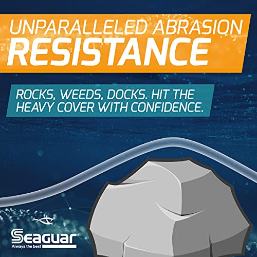 Seaguar Gold Label Fresh & Saltwater Fishing Leader Line, 100% Fluorocarbon - size: 40lb/25yds
