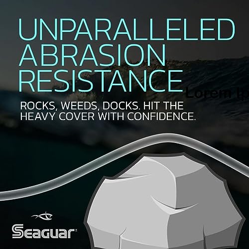 Seaguar Blue Label Fishing Leader Line for Saltwater, 100% Fluorocarbon, Clear, Multiple Sizes - size: 4lbs/25yds