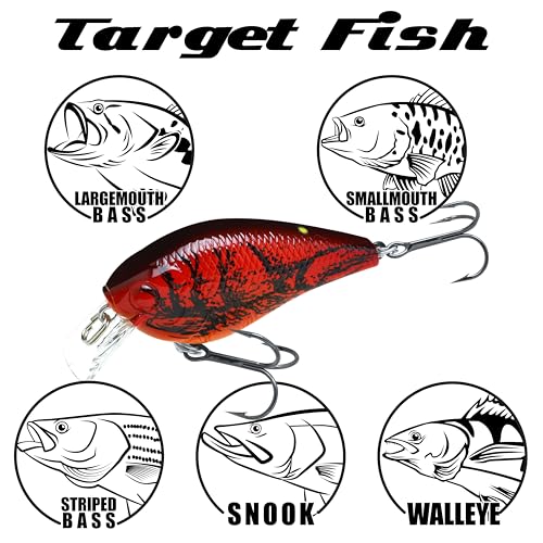 Lucky CRAF LC 1.0, Silent, Crankbait, Squarebill, Freshwater Fishing Gear, Tournament Winning, Champion Bait, Fishing Accessories, Fishing Tackle - color: 514 All Chart Black Craw