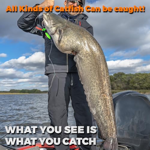 Catfish Rigs Catfish Float Rigs Catfishing Tackle Santee Rig 5/0 6/0 Circle Hooks for Peg Floats Catfish - size: 6/0 HOOK * 6PCS