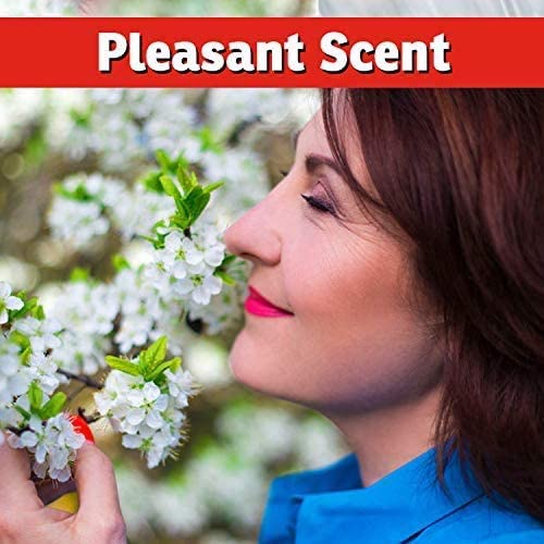 I Must Garden Deer Repellent - Ready to Use (2 Pack - 32oz RTU) - size: 32 Fl Oz (Pack of 2)