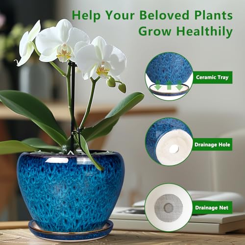 Ceramic Modern Glaze Succulent Planter Pot with Drainage Hole and Saucer 6 Inch Round Flower Plant Pot for Indoor Outdoor Herb Snake Plants