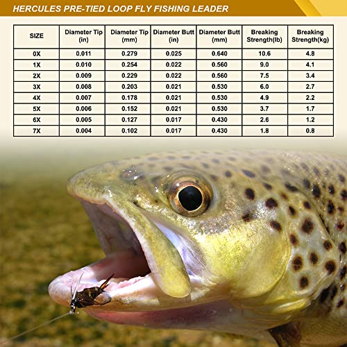 HERCULES Pre-Tied Loop Fly Fishing Leader 6 Pack with Tapered Leader Wallet - size: 12FT - 6pcs