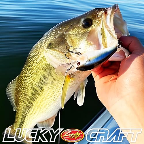 Lucky CRAF LC 1.0, Silent, Crankbait, Squarebill, Freshwater Fishing Gear, Tournament Winning, Champion Bait, Fishing Accessories, Fishing Tackle - color: 514 All Chart Black Craw