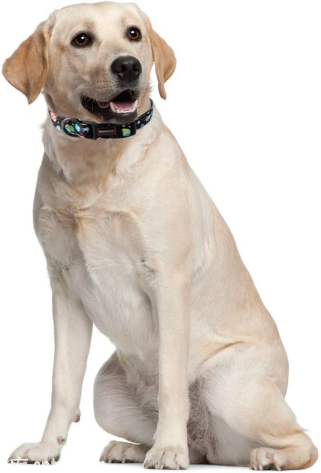 QQPETS Adjustable Soft Dog Collar: Print Flower Pink Multicolor Cute Patterns for XS Small Medium Large Pet Girl Boy Puppy Walking Running Training (S, Space)