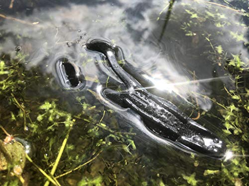 Paddle Toad Frog Soft Plastic 1/2oz 4.13" Fishing Lure - Pack of 3 - color: BLACK NINJA