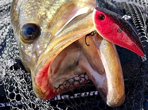 Booyah Hard Knocker Bass Fishing Crankbait Lure - color: Blue Shiner