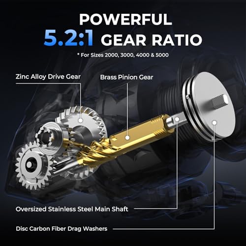 KastKing Spartacus II Plus Spinning Reel – IPX5 Waterproof Freshwater/Saltwater Fishing Reel, 22LB Drag, 5.2:1 Gear Ratio, 7+1 Stainless Steel Bearings, Instant Anti-Reverse, Anodized Aluminum Spool - size: 3000