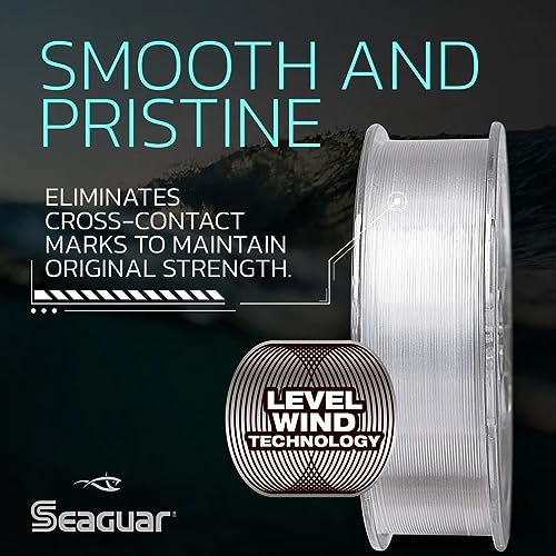 Seaguar Blue Label Fishing Leader Line for Saltwater, 100% Fluorocarbon, Clear, Multiple Sizes - size: 4lbs/25yds