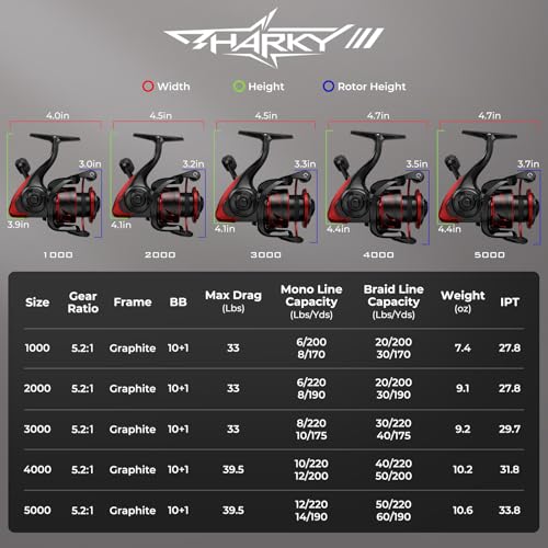 KastKing Sharky Spinning Reel – 5.2:1 & 6.2:1 Gear Ratios, Carbon Fiber Drag 33–39.5LB, 10+1 Stainless Bearings, Lightweight Nylitech Body, Oversize Shaft, for Saltwater & Freshwater - color: 5.2:1-Sharky III, size: 5000