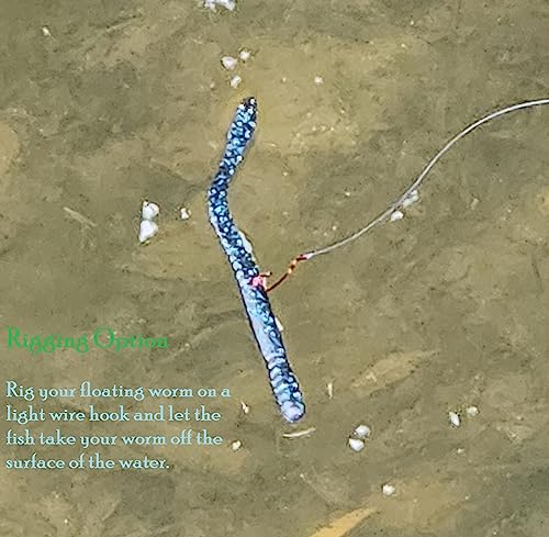 Floating Worm 10 Per Pack 6 Inch Scented Bass, Walleye and More - color: Green Pumpkin