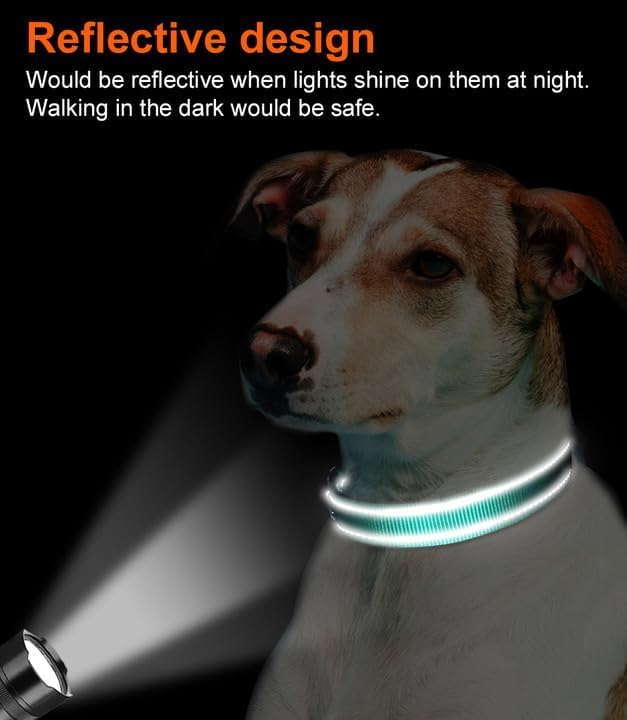 Joytale Reflective Dog Collar, Soft Neoprene Padded, Metal D-Ring, Nylon Pet Collar Adjustable for Extra Large Dogs, Teal, XL