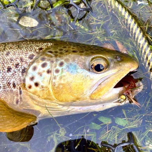 Woolly Bugger Fly Fishing Flies Assortment - Beadhead Streamer Wet Flies for Trout Bass Panfish - Hand-Tied Marabou Streamers for Rivers Lakes - size: 6 Pack – Size 8