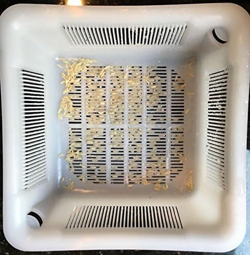8.5" Floor Sink Basket, for Restaurant Floor Sink drains, Prevent Drain Clogs with The Original Drain-Net Basket