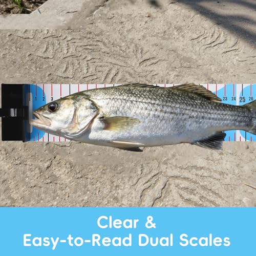 Tada 48in/122cm Fishing Ruler Fish Measuring Tape with Bump Board | Portable Roll Up Folding