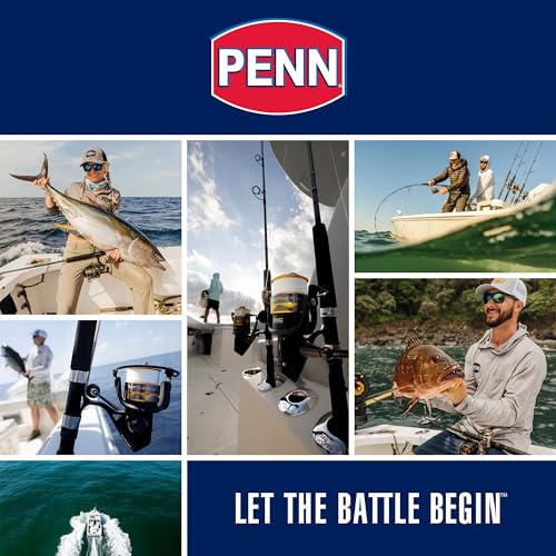PENN Rival Level Wind Conventional Fishing Reel - size: 20, style: Old Model