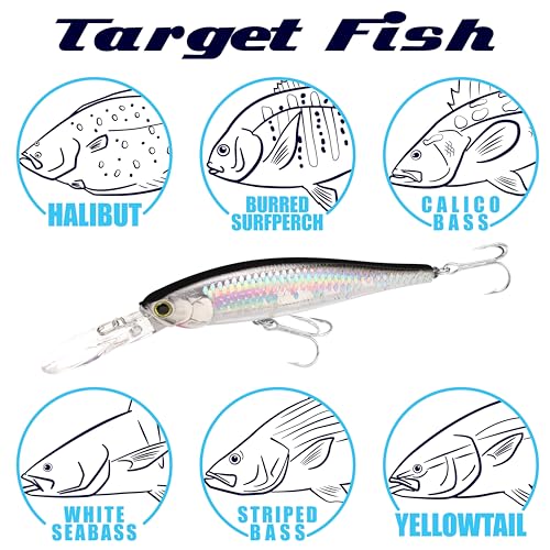 LUCKY CRAFT Pointer 100DD-S, Saltwater Surf Fishing Lures, Jerkbait, Halibut, Surf Perch, Calico Bass, White Seabass, Striped Bass, Sinking, Fishing Gear - color: 829 MS Ghost Ayu