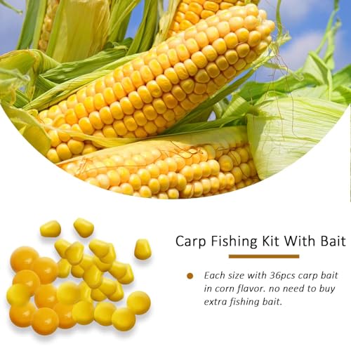 Dovesun Carp Fishing Hair Rigs Carp Fishing Equipment with Baits Hooks Accessories 41PCS/151PCS - color: Size:#6#4#2-151PCS
