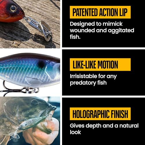 Headbanger Cranky Shad Slow-Sink Hard Lure (2-1/2", 3", 4" & 5") – Patented Erratic “Headbanging” Action Crankbait for Freshwater Bass, Walleye & Perch – 1/3 oz with Premium VMC Hooks - color: Ghost Shad, size: 4"