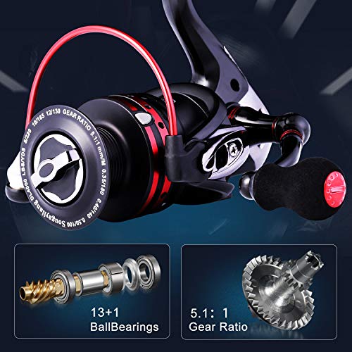 Sougayilang Fishing Reels Powerful 13+1BB Spinning Reels Ultra Smooth Reel for Saltwater or Freshwater - size: 2000