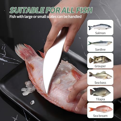4 PCS Fish Scaler, Stainless Steel Fish Scale Remover, Fish Descaler Tool with Serrated Blade Design, Ideal for Home, Kitchen, Seafood Markets, and Professional Use - size: 4PCS