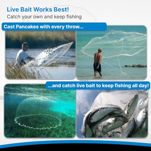 BasicGear Pancake Cast Net – Heavy-Duty 1.0+ lb/ft Weights, 4ft to 12ft Radius, Multiple Mesh Sizes, Pro Grade, Freshwater & Saltwater - size: 12ft Radius, style: 1.25 Lb, 1 1/4" Sq Mesh