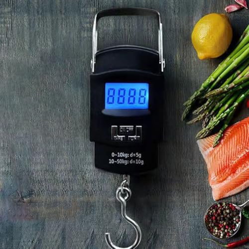 KESYOO Portable Handheld Digital Fish Scale with LCD Screen, High Precision Small Hanging Weight Scale for Household and Outdoor Fishing Use