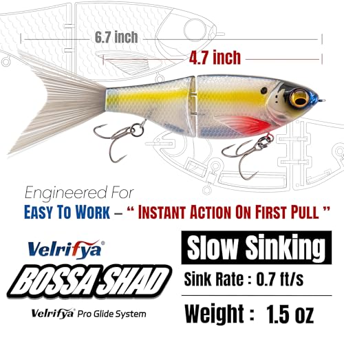 Bossa Shad Multi-Jointed Swimbait – Realistic Shad Profile with Natural Swimming Action for Bass Fishing - color: 02-Silver Bleed