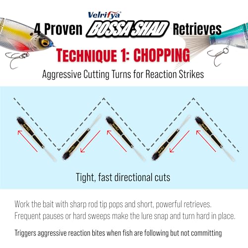 Bossa Shad Multi-Jointed Swimbait – Realistic Shad Profile with Natural Swimming Action for Bass Fishing - color: 04-Tiger Perch