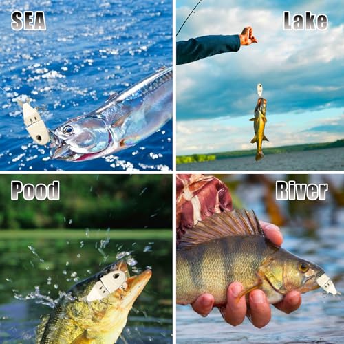 2Pcs Mini Glide Bait for Bass Fishing,Slow Sinking Fishing Lure,Freshwater Saltwater Multi Jointed Swimbait Wobbler,for Amazing Fishing Gear Gifts for Family - color: Black