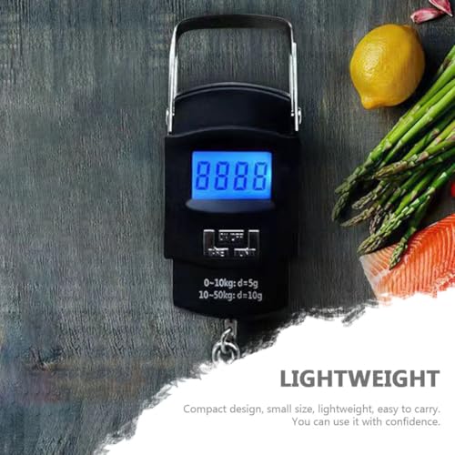 KESYOO Portable Handheld Digital Fish Scale with LCD Screen, High Precision Small Hanging Weight Scale for Household and Outdoor Fishing Use