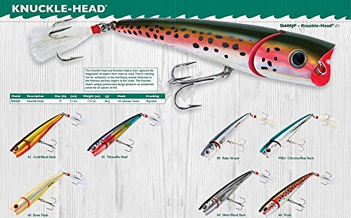 Creek Chub Knuckle Head Jointed Topwater Fishing Lure with Chugging and Popping Action - color: Chrome/Blue Back