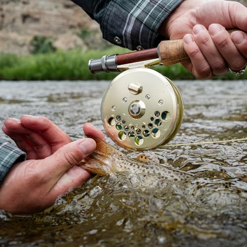 Redington Classic Trout Fly Reel (Spool Only) – Lightweight Click-and-Pawl Trout Reel, Large Arbor, CNC Machined Aluminum – 2/3/4 and 4/5/6 Sizes - size: 4/5/6 Spool