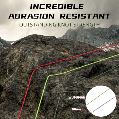 Braided Fishing Line 8 Strands (Non-Fading) Super 100% PE(LBS:6/8/10/15/20/30/40/50/60/70/80/90/100/130/150/200)(150M 300M 500M 1000M) Ocean, Lake,Parks, River Fishing - color: Moss Green, size: 32LB 300M 328Yards