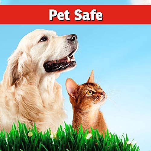 I Must Garden Deer Repellent - Ready to Use (2 Pack - 32oz RTU) - size: 32 Fl Oz (Pack of 2)