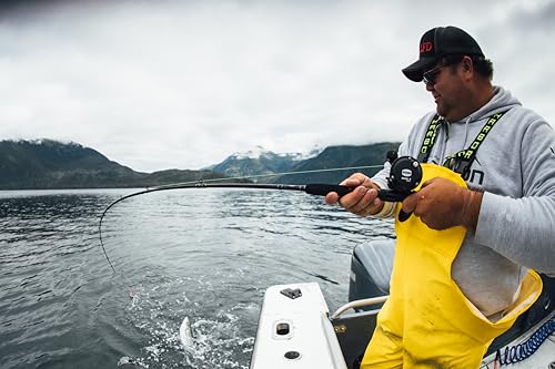 PENN Rival Level Wind Conventional Fishing Reel - size: 30, style: New Model